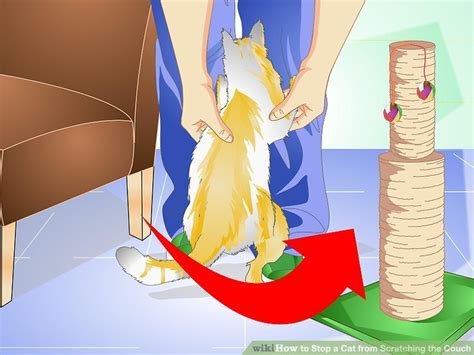 Cats also need to scratch for nail maintenance, and who doesn't love the scratching motion a cat makes when she stretches after a does your cat seem to get a thrill from scratching the edge of a chair or the sofa? How to Stop a Cat from Scratching a Leather Sofa: 12 Steps