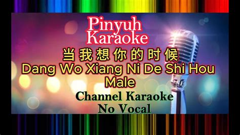 Dang Wo Xiang Ni De Shi Hou 当我想你的时候 Cover Karaoke No Vocal