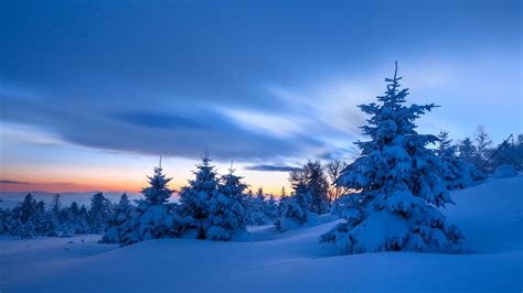 Wallpaper Snow Clouds Sky Sunset Mountains Trees Spruce Winter