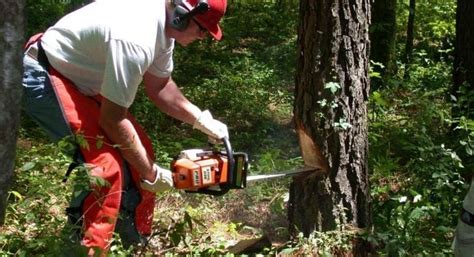 Its relatively easy to use and is intended to be operated while standing firmly on the ground. Best Chainsaw For The Money | Home Use | Firewood