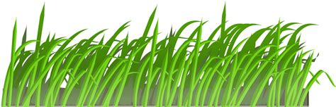 Download Grass Png Image Green Grass Png Picture Hq Png Image Freepngimg