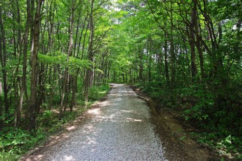 Southern Belle Lodge - Woodland Ridge Cabins in Hocking Hills, Ohio