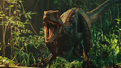 4k Jurassic Park Wallpapers Top Free 4k Jurassic Park Backgrounds