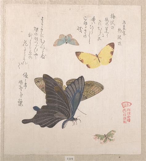 Image Result For Butterfly Painting In Museum Japanese Vintage Art