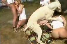 sex group action zoo outdoor crazy two videos zootube1 doggies
