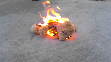 Teddy Bear On Fire Because Of Cherry Bomb Youtube