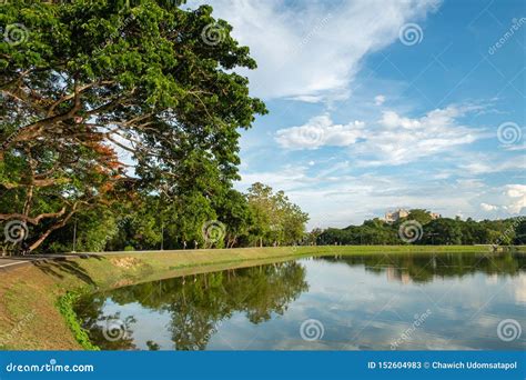 Lakeside Scenery View Stock Image Image Of Forest Garden 152604983