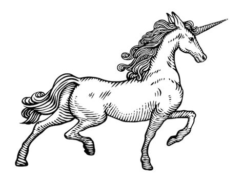 Premium Vector Hand Drawn Unicorn Engraving Vintage Engraved Illustration