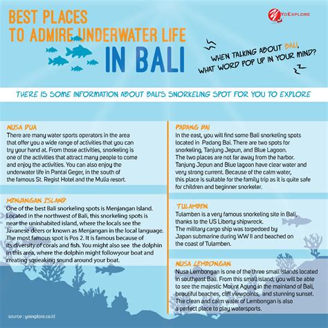 Bali Snorkeling Spots: 5 Best Places To Enjoy Underwater Life