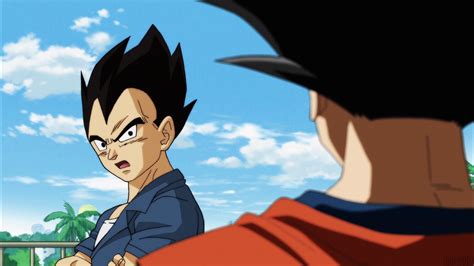 These balls, when combined, can grant the owner any one wish he desires. Dragon Ball Super Épisode 83 : La Fille de Vegeta