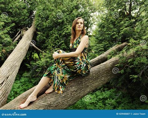 Young Woman Posing On A Tree Stock Image Image Of Grass Freedom