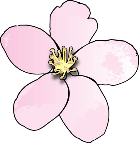 Pink Apple Blossom Clip Art At Vector Clip Art Online