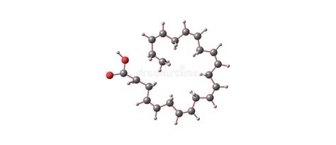 Estructura Molecular ácida Docosahexaenoic Aislada En Blanco Stock De Ilustración Ilustración