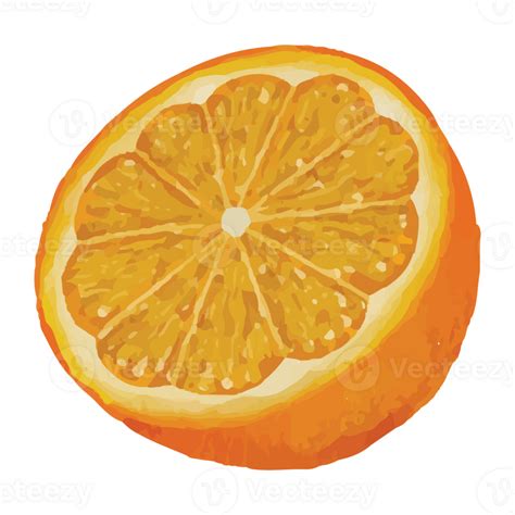 Whole Orange Sliced Orange Splash Orange Juice Drop Orange Oil