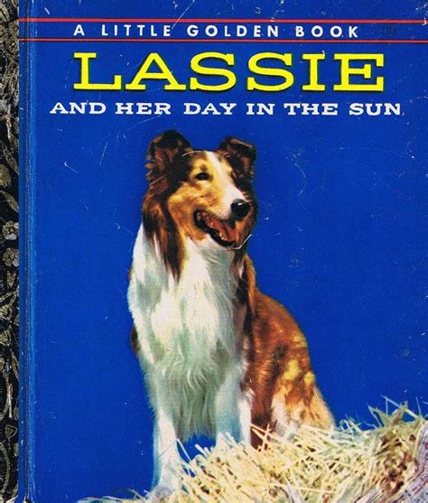 Lassie And Her Day In The Sun Little Golden Books Wiki Fandom