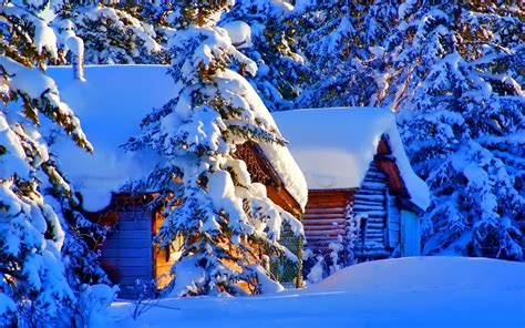 Winter Snow Nature House Trees Forest Landscape Wallpapers Hd