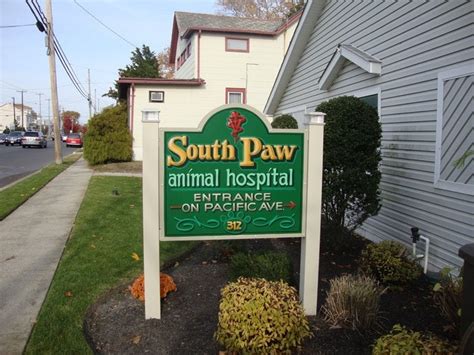 Our hospital was opened by dr. South Paw Animal Hospital - Veterinarians - 312 S Main St ...