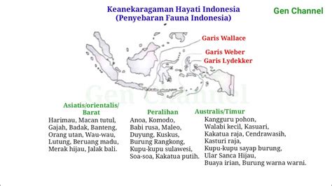 Penyebaran Fauna Indonesia Keanekaragaman Hayati Indonesia Youtube