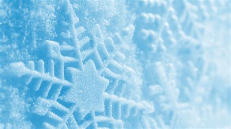 Download Wallpaper 2560x1440 Snowflake Macro Photography Winter Qhd