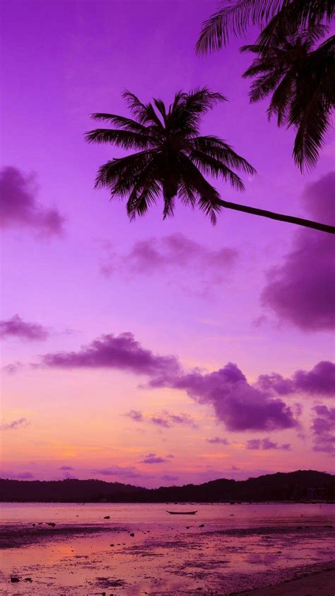 Purple Beach Sunset Iphone Wallpapers Top Free Purple Beach Sunset