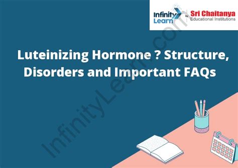 Luteinizing Hormone Levels Functions And Disorders