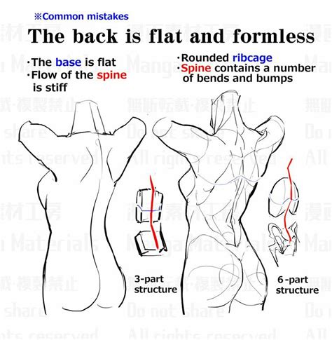 Pin By Softwarrior On Referentes DB Anatomy Reference Female Anatomy