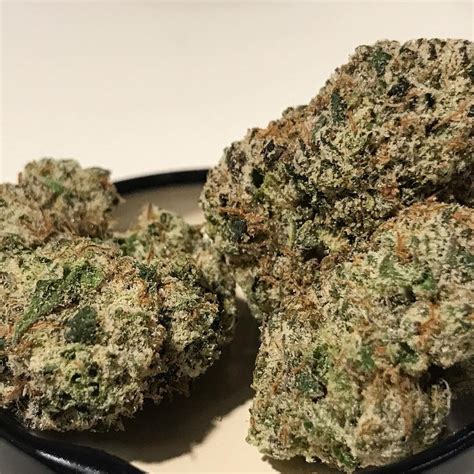 Check spelling or type a new query. Buy Gelato #33 Online - Weed Greenery