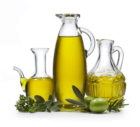 Researchers in spain found that consuming olive oil made from the wild acebuche variety may significantly lower. olive | Description, Production, & Oil | Britannica