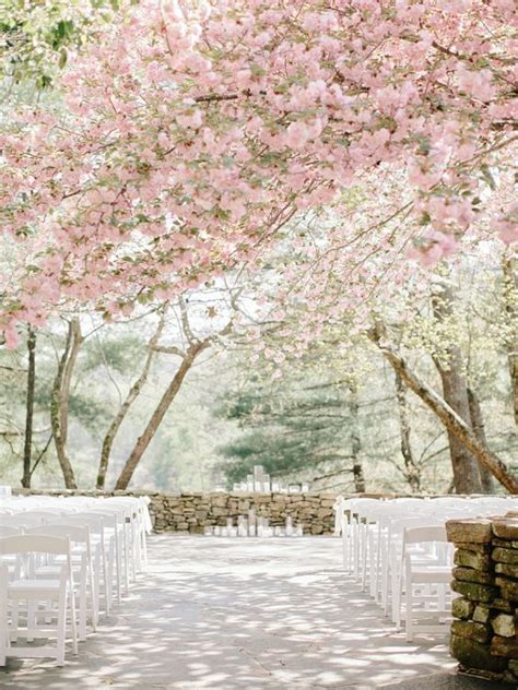 41 Romantic Cherry Blossom Wedding Ideas Weddingomania