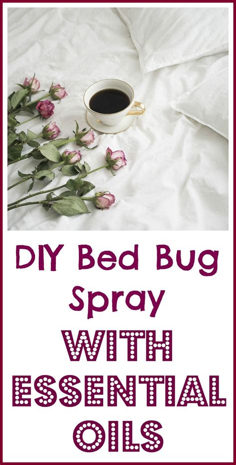 Essential Oil Bed Bug Spray Recipe Organic Palace Queen Bed Bugs