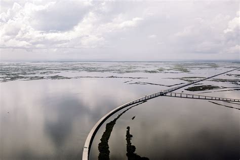 Rebuilding Nature In Wake Of Katrina The New York Times