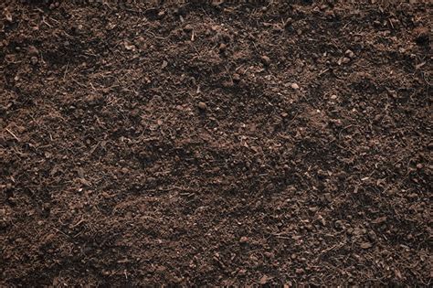 Premium Photo Soil Texture Backgroundfertile Loam Soil Suitable For