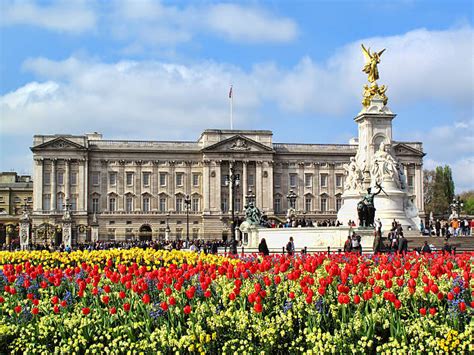 Well, it's a nice place, so why not? Buckingham Palace - Bilder und Stockfotos - iStock
