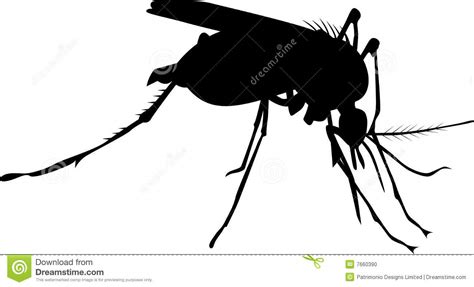 The mosquito population is 65%. Mosquito insect silhouette stock illustration ...