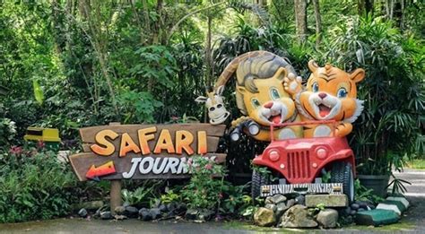 Info Lengkap Wisata Seru Di Taman Safari Bogor Dari Fasilitas Tiket Dsb