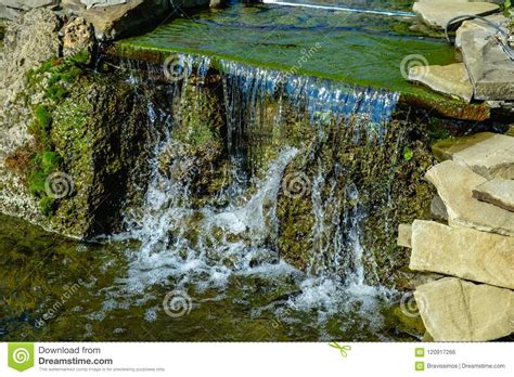 Landscape Design Of Pond Waterfall Stock Photo Image Of Natural