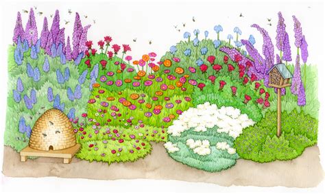 Bee Friendly Garden Design Diagram Natural History Illustration By