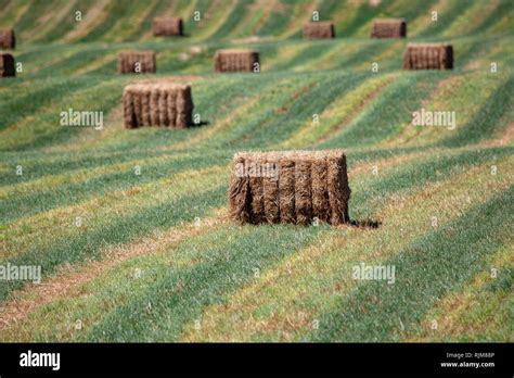 Square Bale Stack Stock Photos And Square Bale Stack Stock Images Alamy