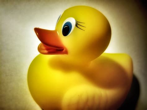Rubber Duckies Hit The High Seas My Science Blast