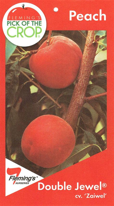 Peach Double Jewel® Blerick Tree Farm