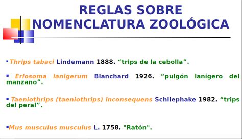 02nomenclatura Binomial Diagram Quizlet