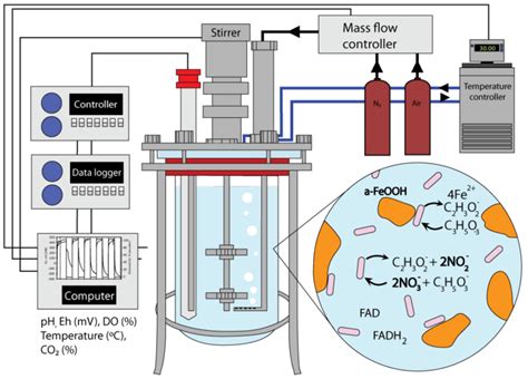 Schematic Diagram Of The Bioreactor System Also Shown Is A Conceptual