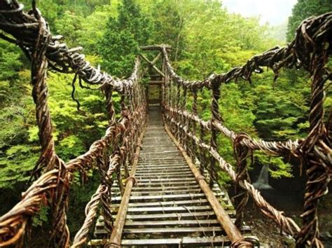 The Worlds 15 Scariest Bridges That Will Freeze Your Heart Pouted