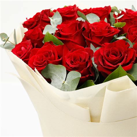 Buy Timeless 20 Red Roses Bouquet