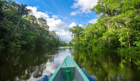 Manaus Amazon Safaris With Africa Travel Resource