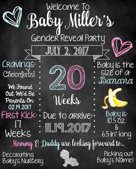 Gender Party Baby Gender Reveal Party Gender Reveal Decorations