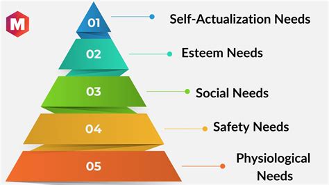 Types Of Needs Definition Example Marketing