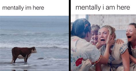 Twitter Is Flooded With “mentally Im Here” Memes All About Women