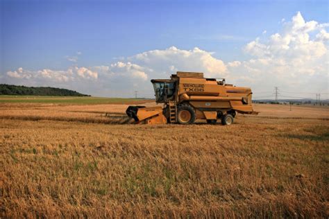 Free Images Field Farm Wheat Grain Asphalt Summer Transport