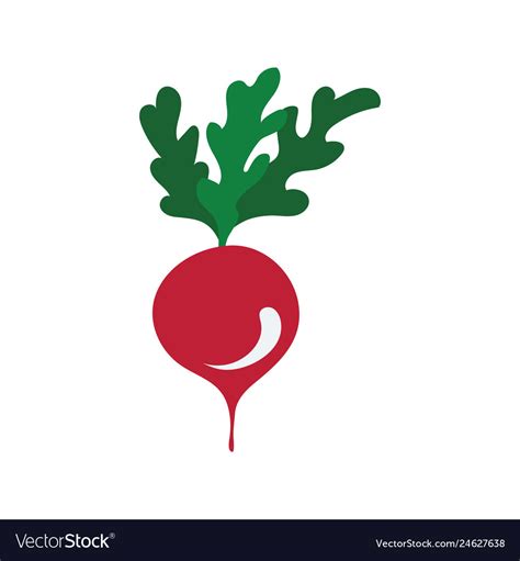 Radishes Icon Royalty Free Vector Image Vectorstock